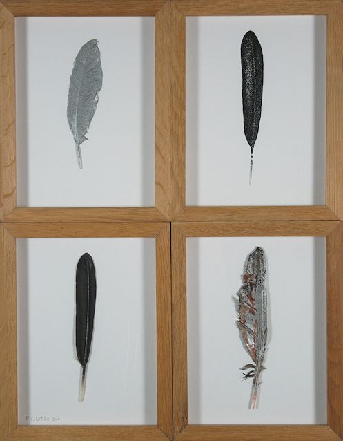 Assemblage by Peter Colstee of feathers in a box