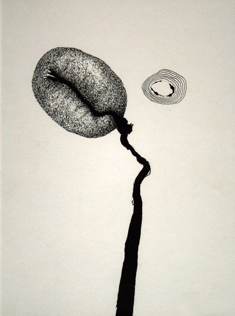 Drawing on paper with ink by Peter Colstee with a form that looks like a seed on white background color