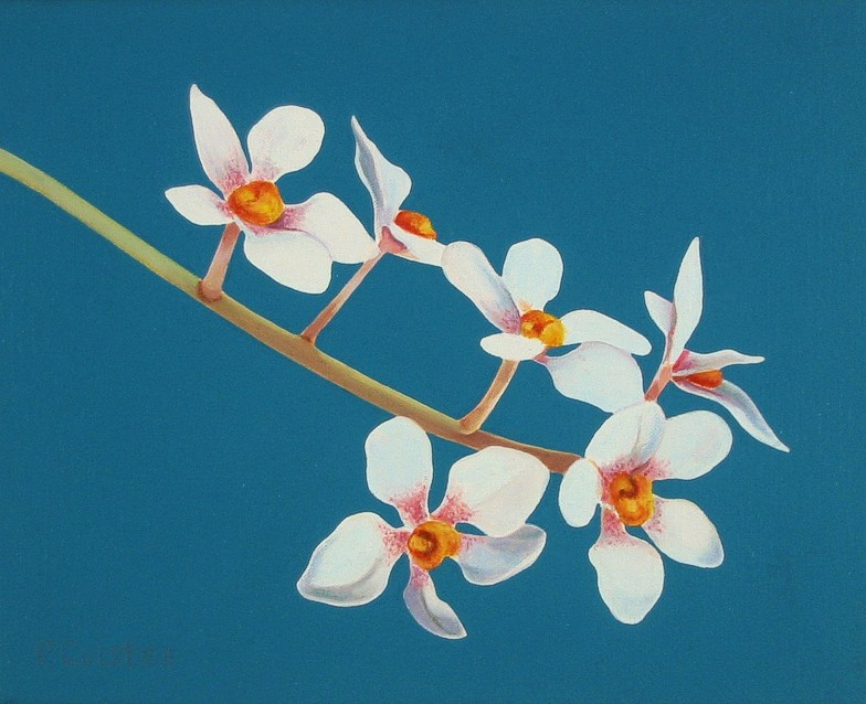 Realistic oil painting by Peter Colstee of an orchidbranch with white flowers on a light blue background color